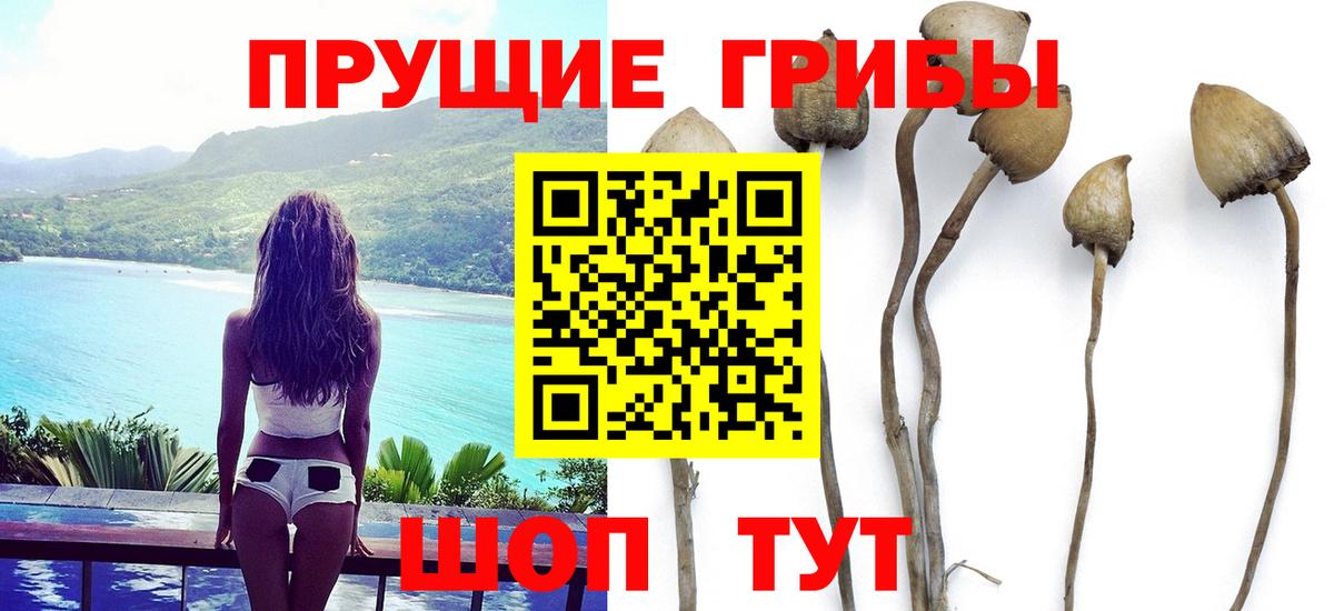 Гусиноозёрск  Псилоцибиновые грибы MAGIC MUSHROOMS  Вход с VPN 
